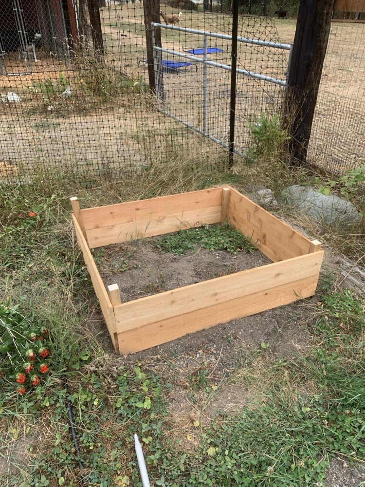 A rectangular construction of boards, meant to be a raised garden bed