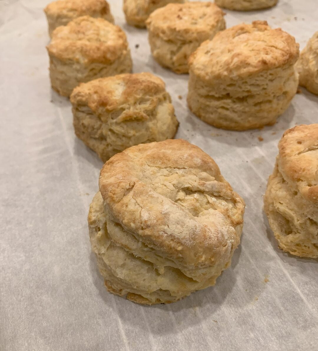 Fresh buttermilk biscuits cooling off on a countertop.
