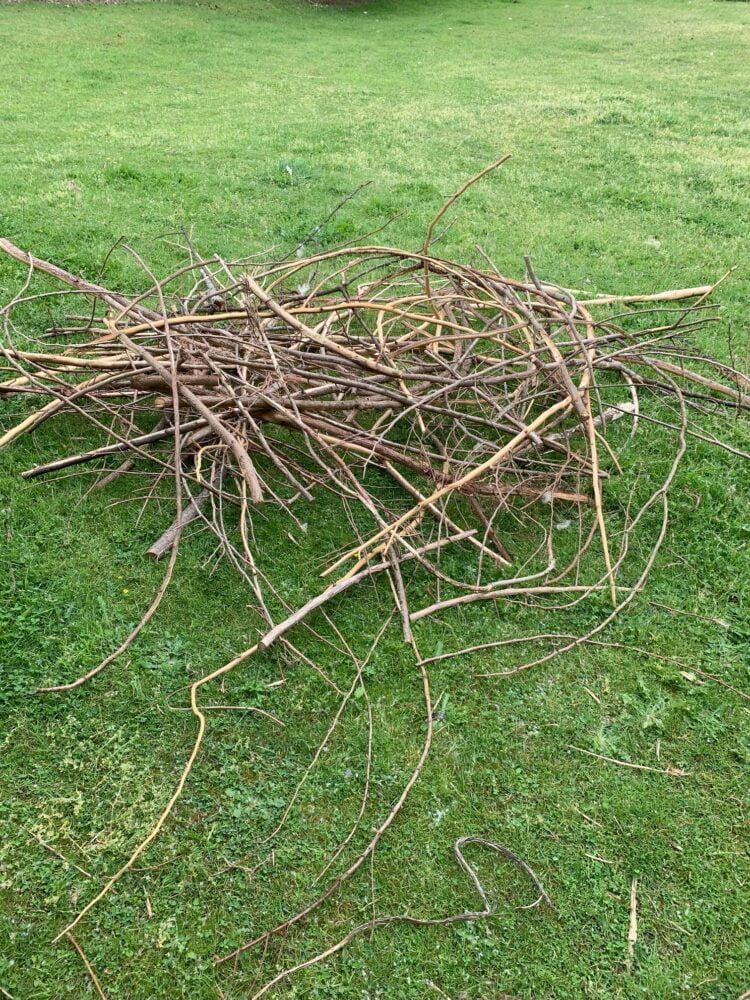 A large pile of sticks gathered in the grass.