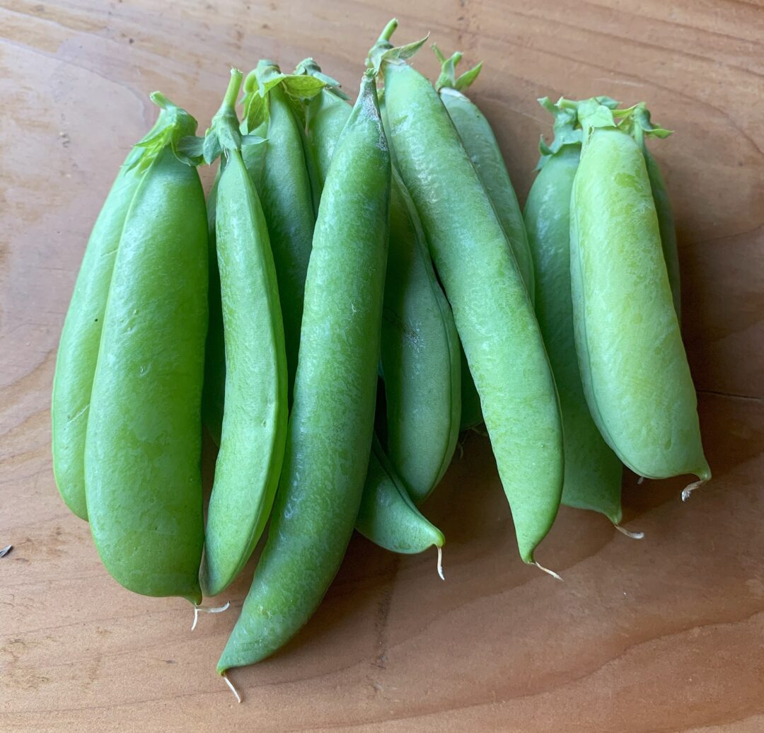 A bunch of plump, green pea pods on a wooden countertop.