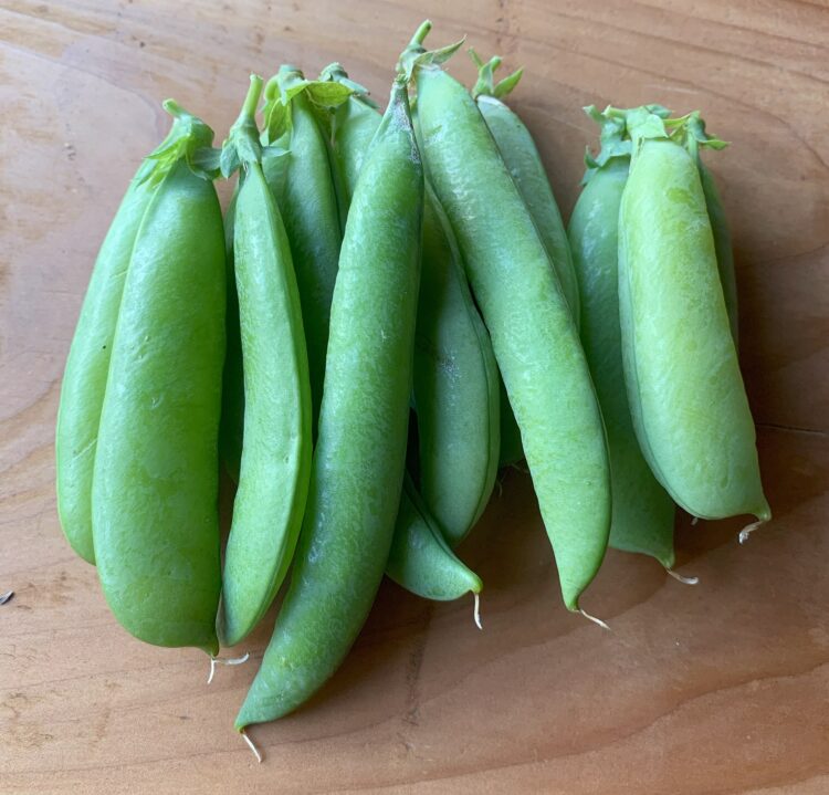 A bunch of plump, green pea pods on a wooden countertop.