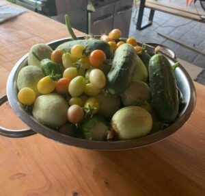 A large bowl of freshly harvested vegetables.
