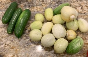 Freshly picked vegetables on a marble countertop.