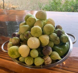 A large pile of freshly picked tomatillos.
