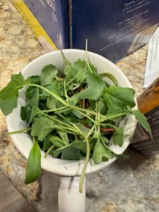 A white bowl filled with fresh microgreens.